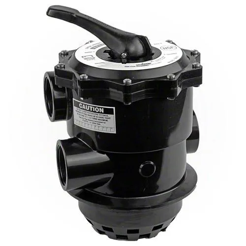 Filtre à sable Pentair Tagelus TA100D 600 lb – Filtreur piscine haute capacité 100 GPM