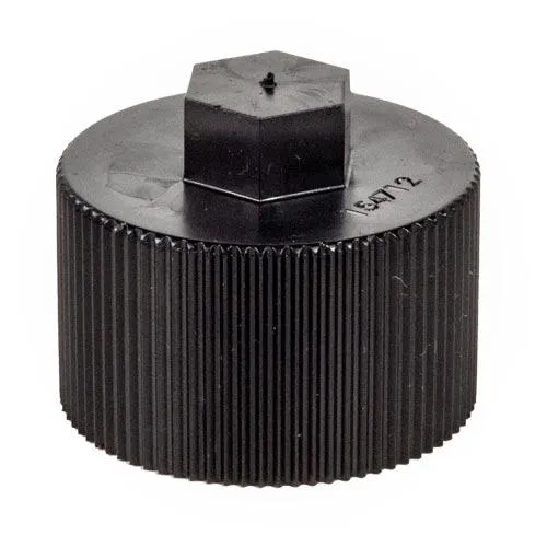 Bouchon Pentair 154712 avec joint 154715 pour filtre de piscine