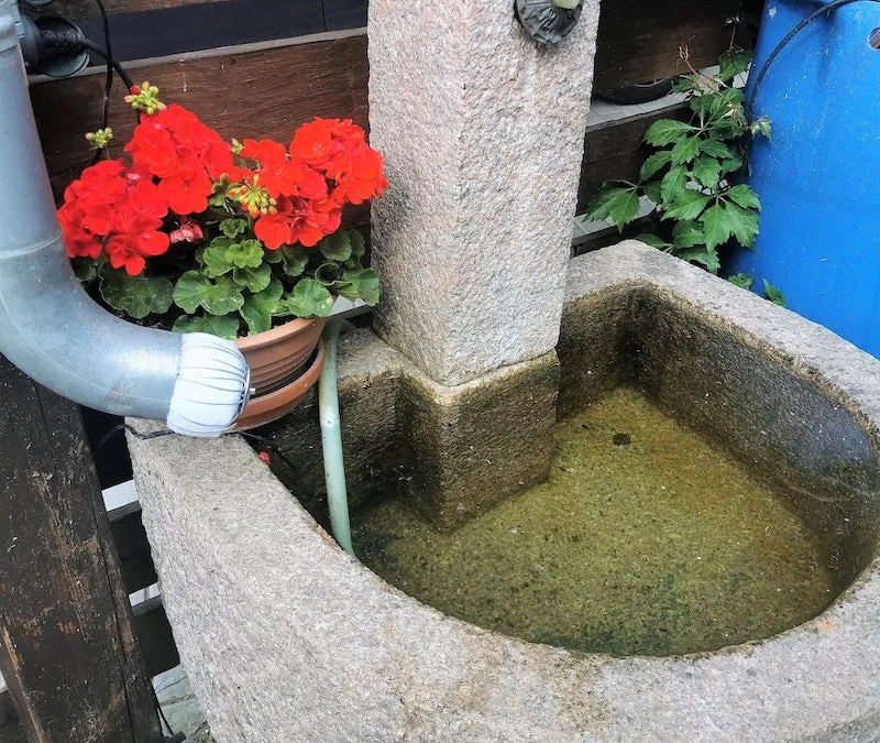 PureFlow® RAIN (10 Ersatzfilter)