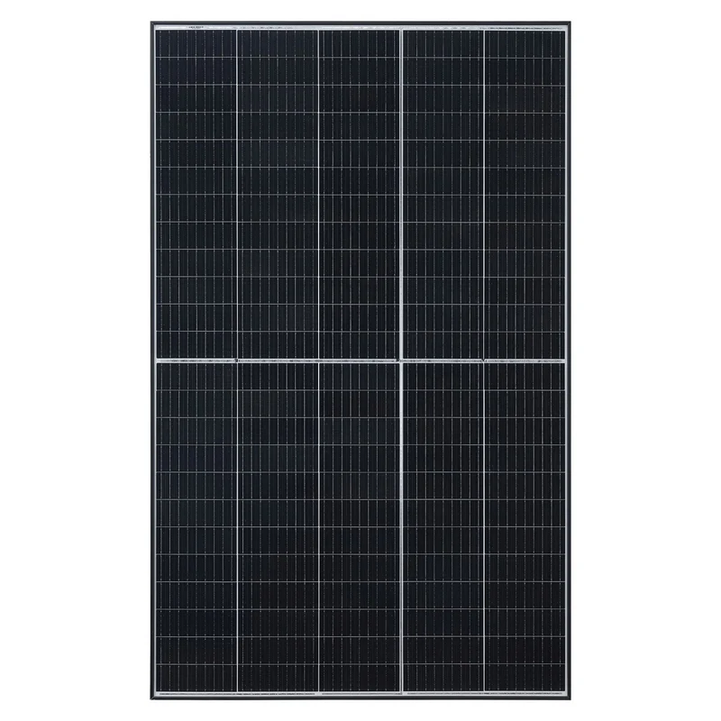Module solaire Risen RSM40-8-410M