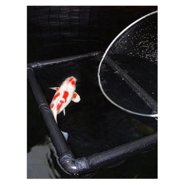 Filet d’Inspection Flottant KNS / AquaForte – Cage Flottante pour Koï et Poissons de Bassin