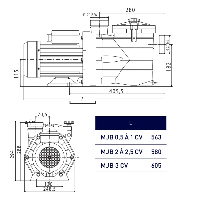 Pompe de filtration VIPOOL MJB
