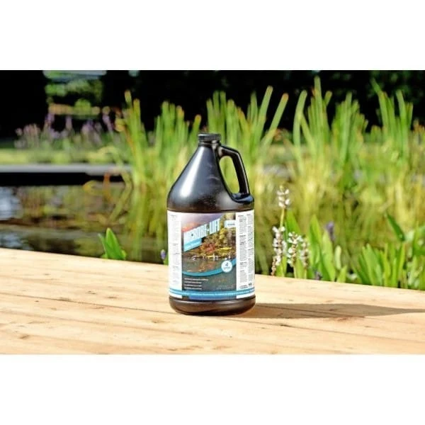 Microbe-Lift AquaXtreme 4L - Conditionneur d'eau pour bassin, étang & piscine naturelle