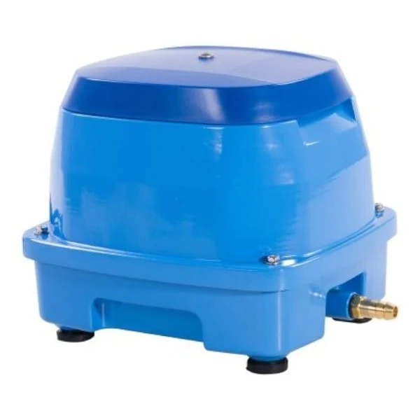 AquaForte Pompe à Air EAP 80