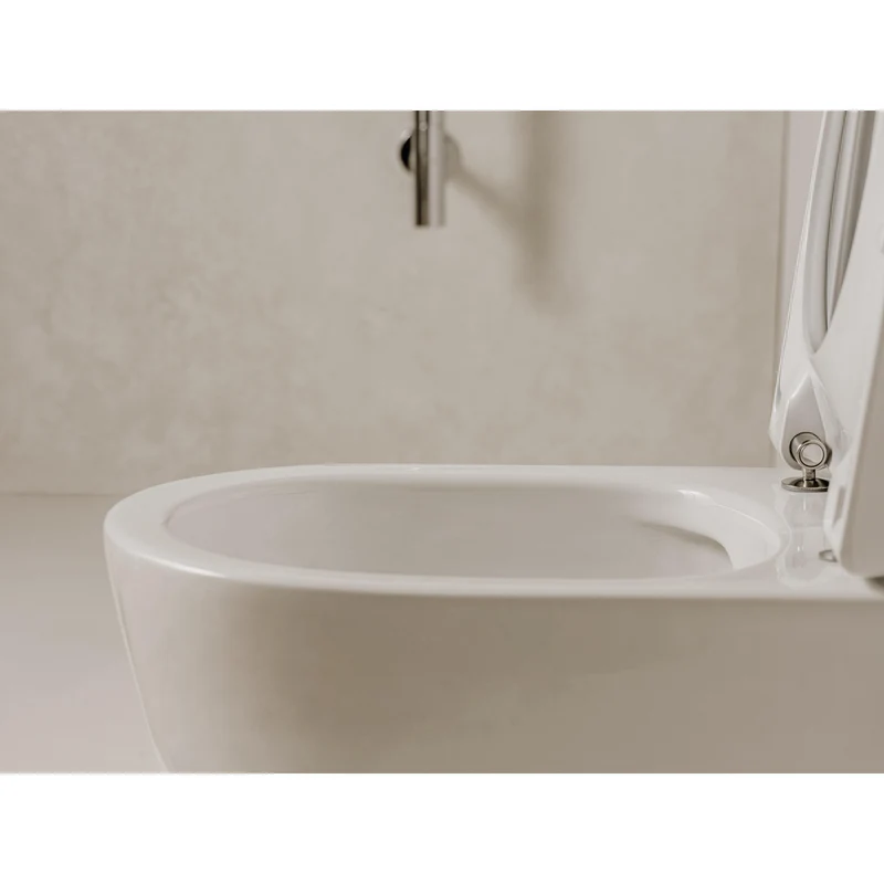 Roca - Inodoro completo suspendido Ona Rimless® con fijaciones ocultas blanco mate