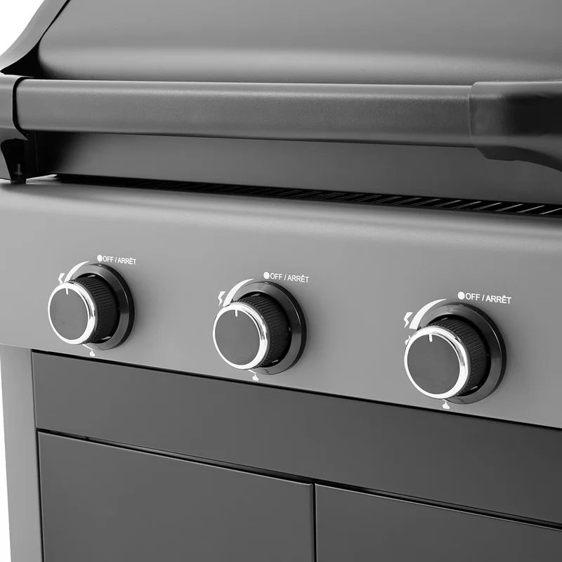 BBQ au gaz Flameo 300 - 30 000 BTU