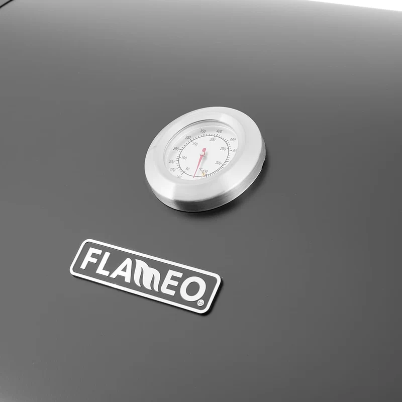 BBQ au gaz Flameo 300 - 30 000 BTU