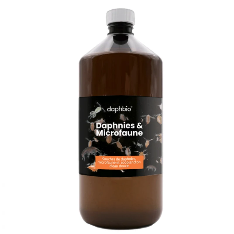 Daphnies & Microfaune vivante 5L - DaphBio
