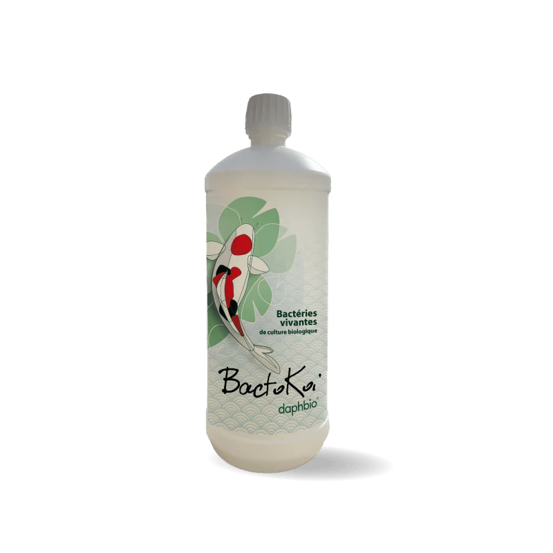 BactoKoï - Bactéries Vivantes de Culture Biologique - DaphBio - 1L
