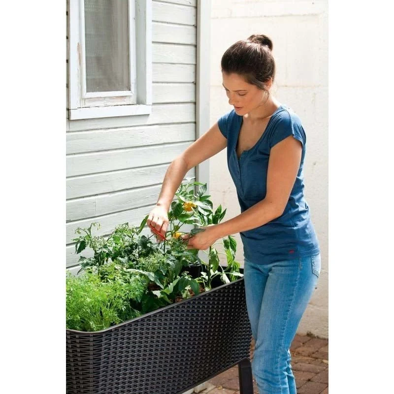 Keter - Huerto de jardín Easy Grow marrón