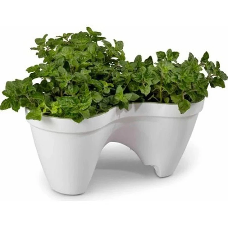 Keter - Maceta de jardín Ivy Planter blanco