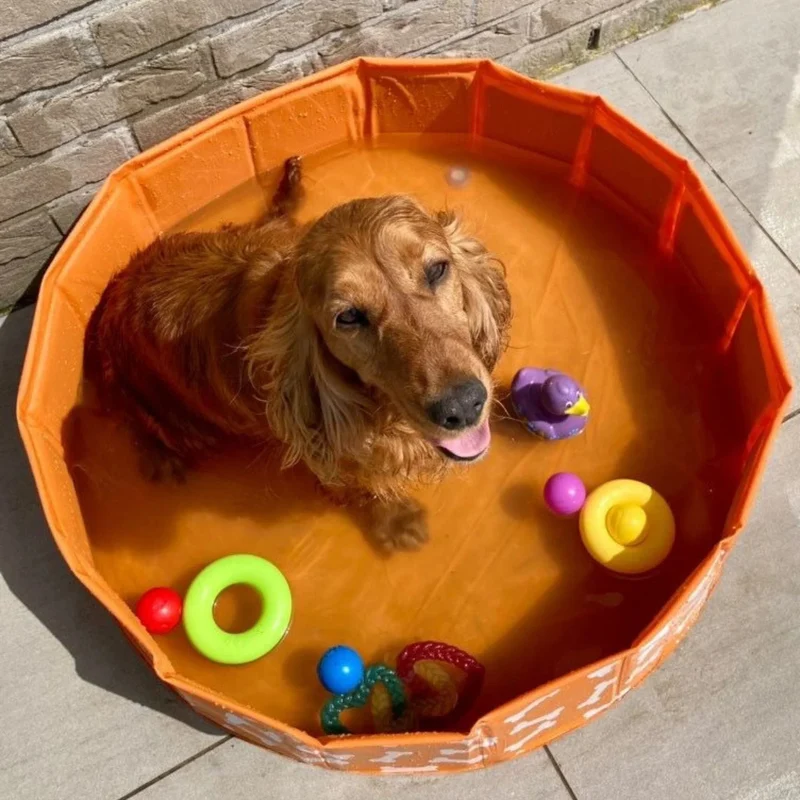 Swim Essentials - Bonebash | Oranje Honden Zwembad Ø 80 cm