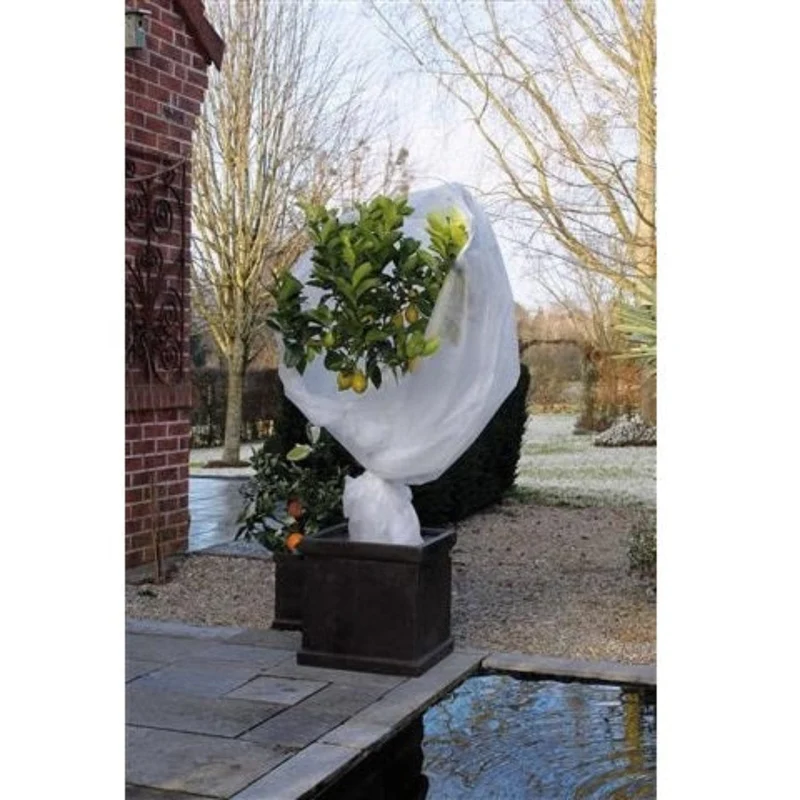 Voile d'hivernage - PP, blanc, 30 g/m² - 2 x 10 m