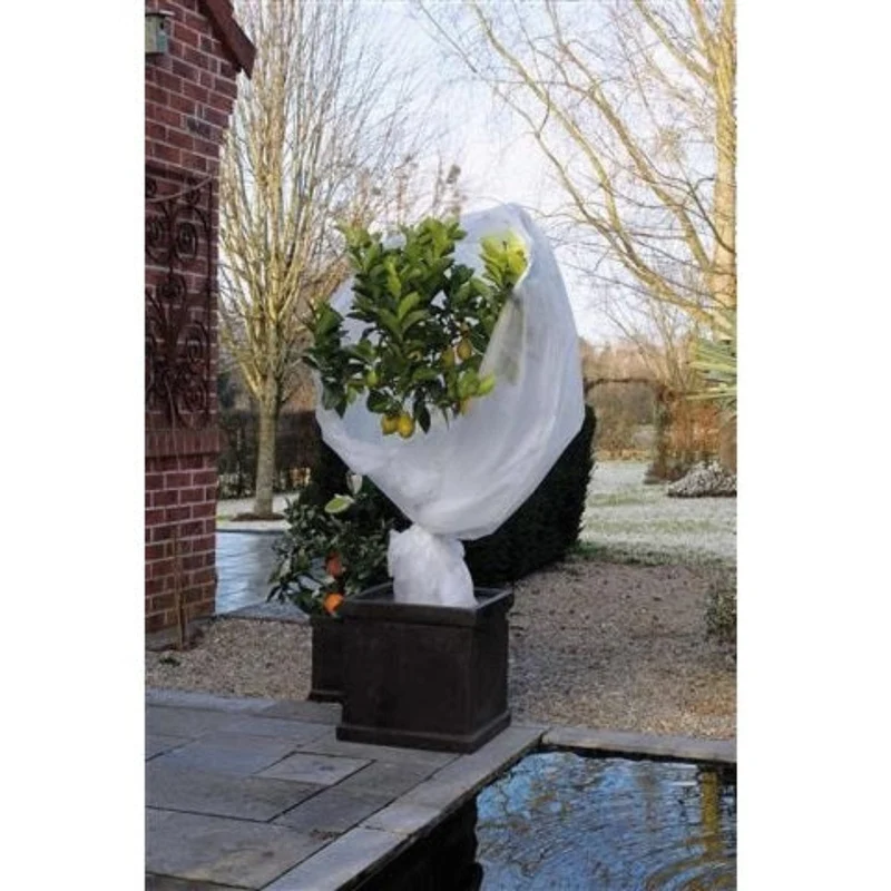 Voile d'hivernage - PP, blanc, 30 g/m² - 2 x 5 m