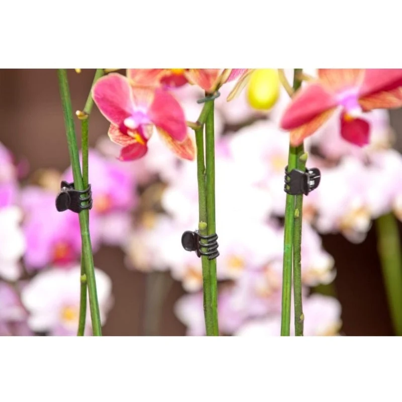 Pince de tuteurage noire pour orchidées - 10 x