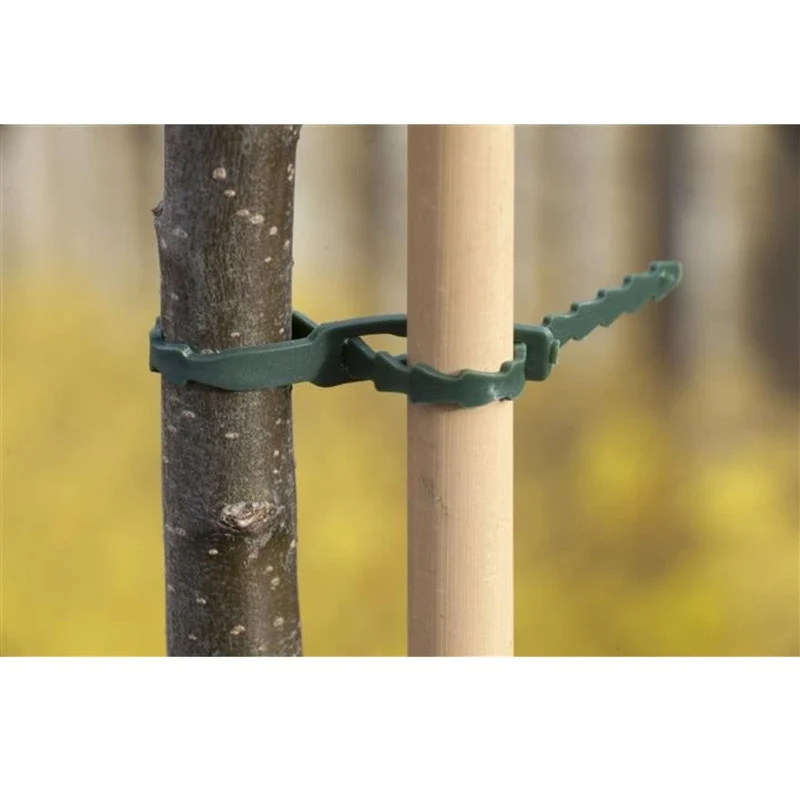 Lien universel de tuteurage en PE vert - 11,5 cm - 70 x