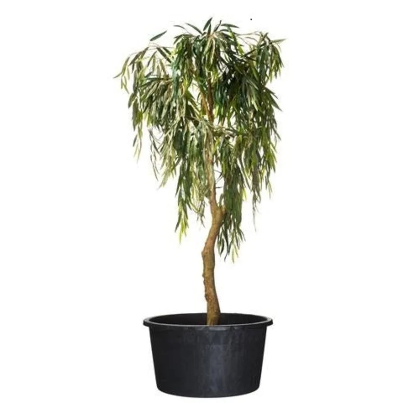 Victoria - Conteneur rond fond avec trous de drainage et poignées - 20L - H27 x Ø37 cm
