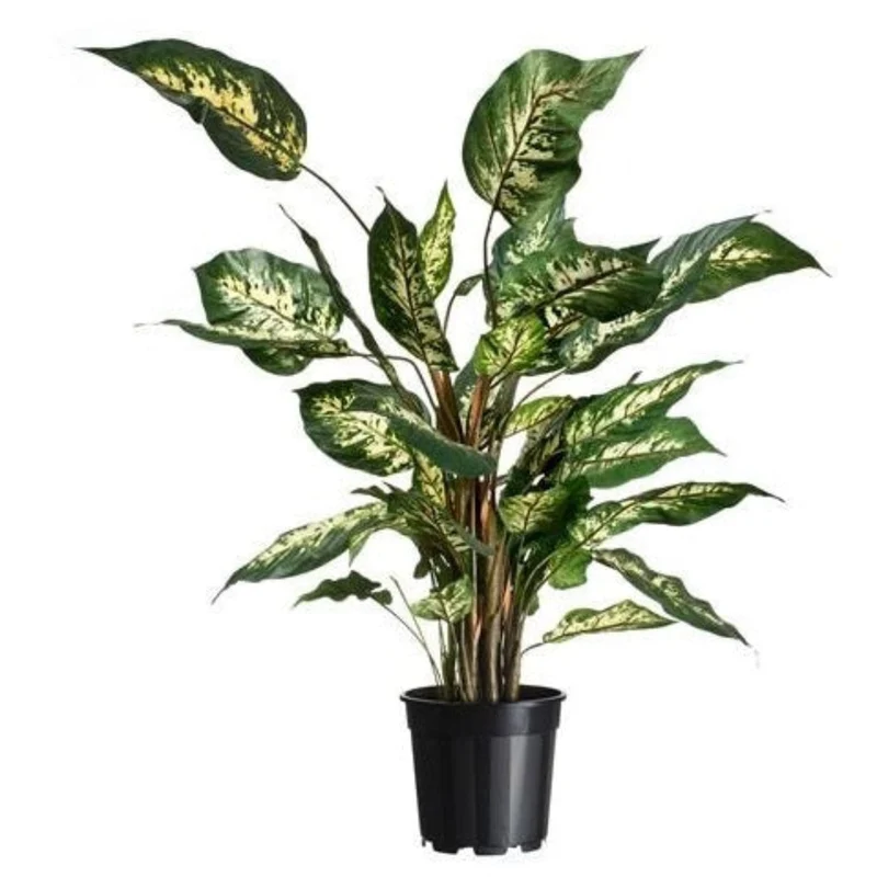 Conteneur fond 4 branches - 6,3l - H21,5 x Ø24 cm