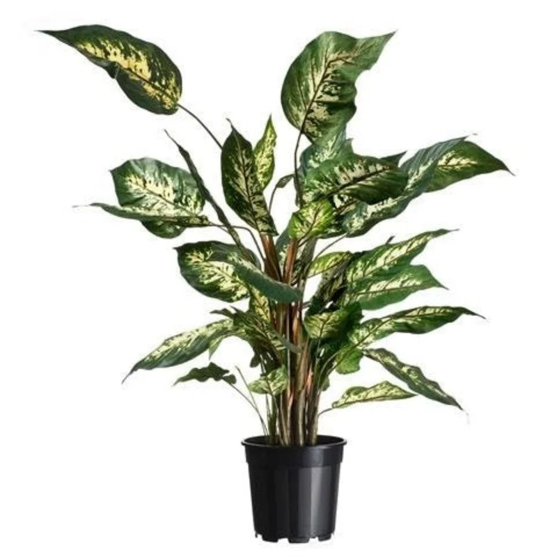 Conteneur fond 4 branches - 3,1l - H17,1 x Ø19 cm - 3 x