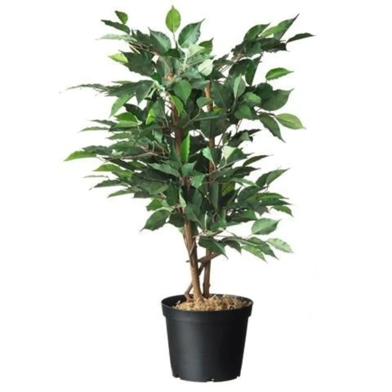 Conteneur fond plat avec trous de drainage - 7,5l - H21 x Ø26 cm