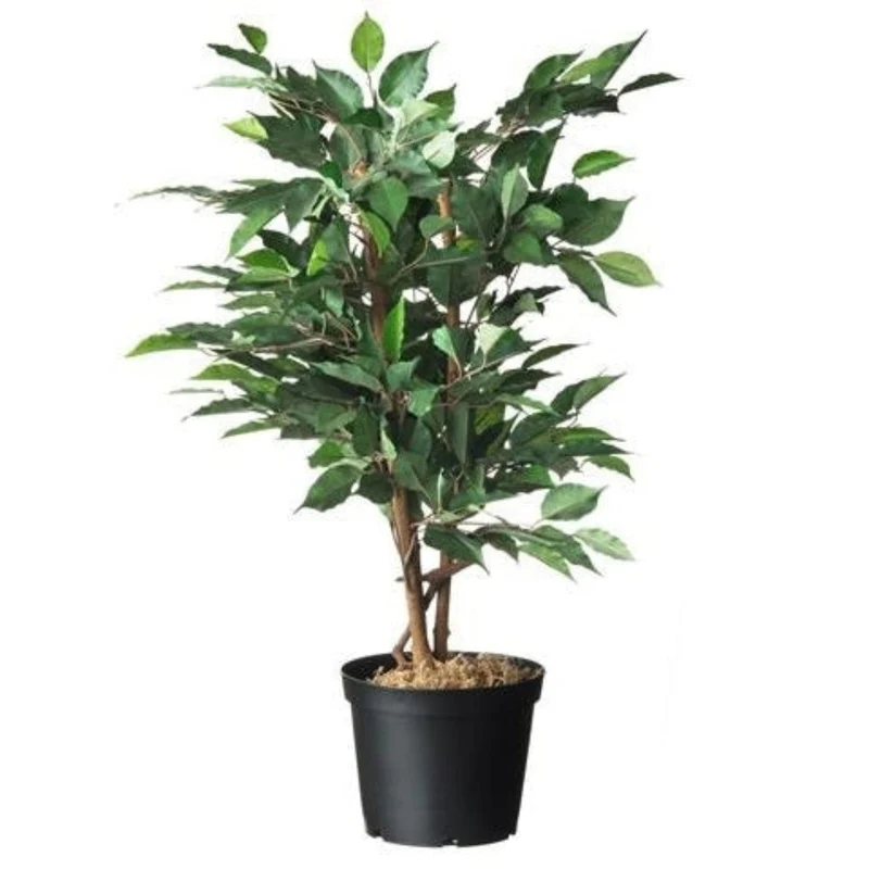 Conteneur fond plat avec trous de drainage - 3l - H15 x Ø19 cm - 4 x