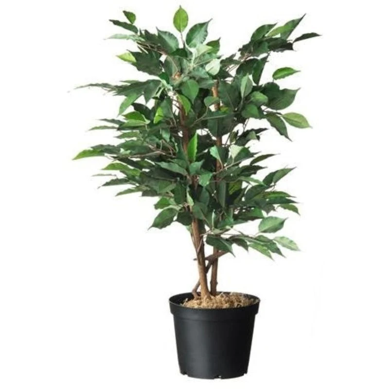 Conteneur fond plat avec trous de drainage - 2l - H13,1 x Ø16,5 cm - 5 x