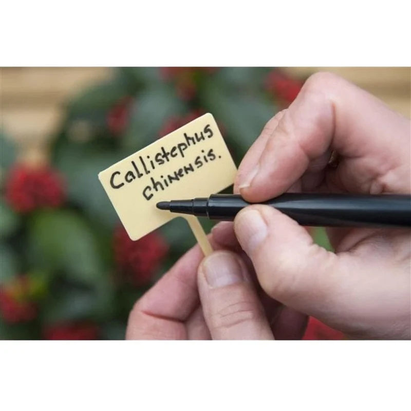 Etiquettes en T à planter en PVC + feutre indélébile - 13 cm - 10 x