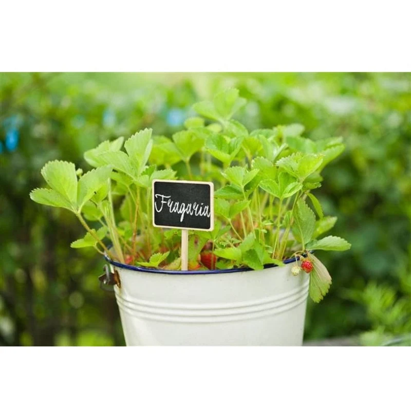 Etiquette en ardoise naturelle, avec cadre bois FSC®, inclus craie - H20,5 x 8,6 x 6 cm - 4 x