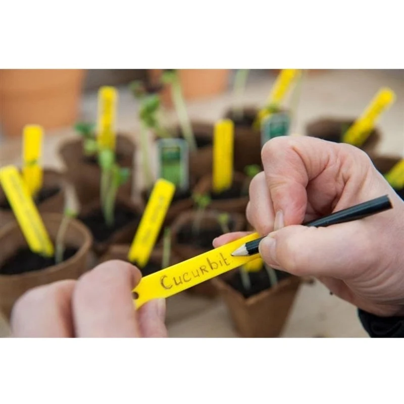 Etiquettes PVC + 1 crayon - H10 cm - 25X - Etiquette pour plantes terrestres et aquatiques