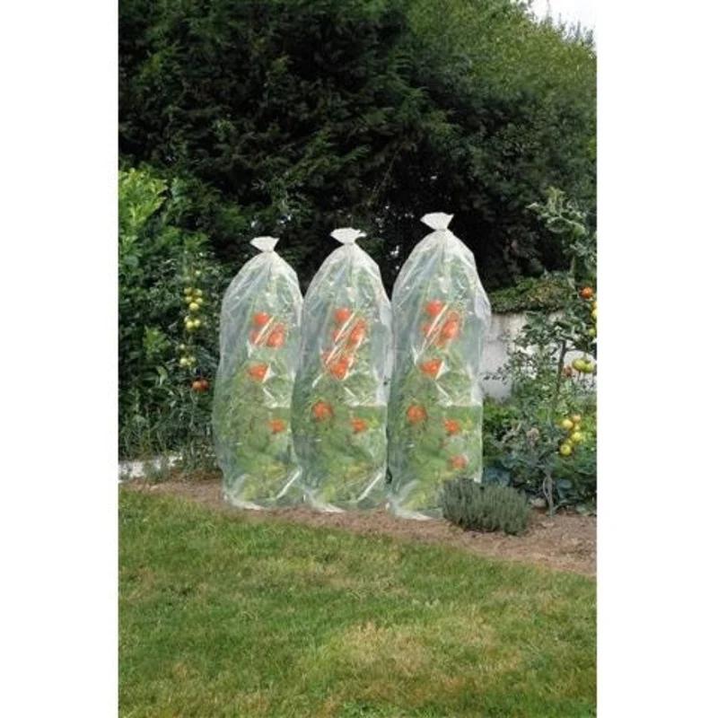 Gaine en film de croissance perforé pour tomates - LDPE, 50 µ, 400 trous/m² - 15 m x Ø50 cm