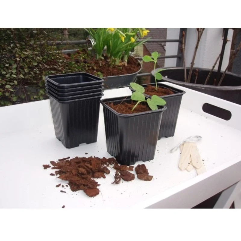 Pots de bouturage en polystyrène - H6,4 x 7 x 7 cm - 20 x