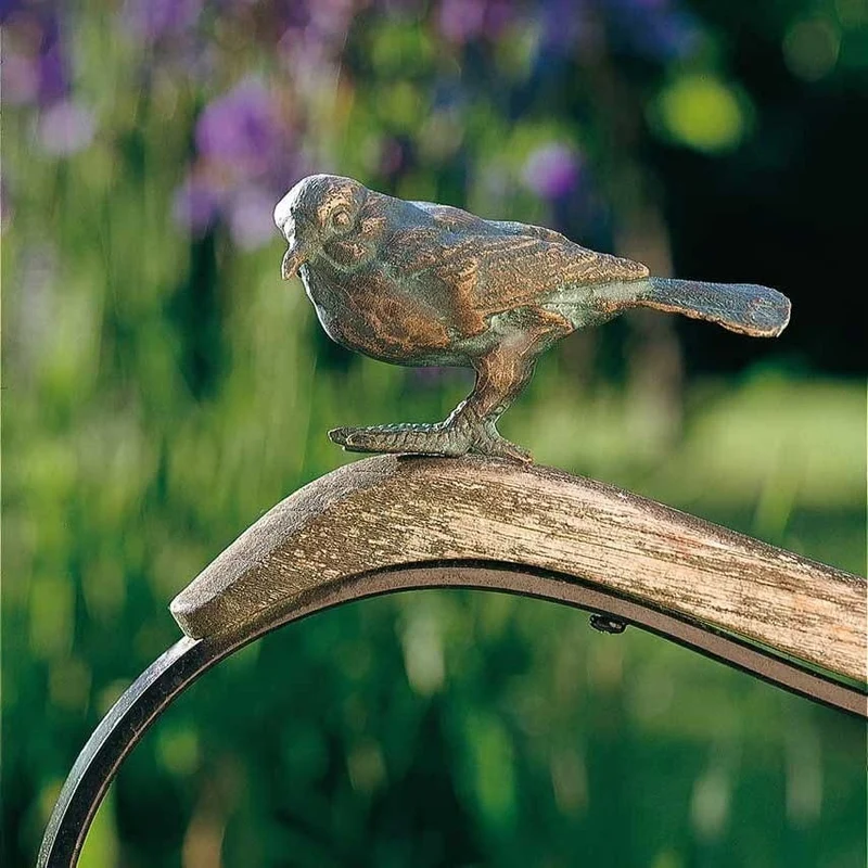 Heckenbraunelle Vogel - freistehend