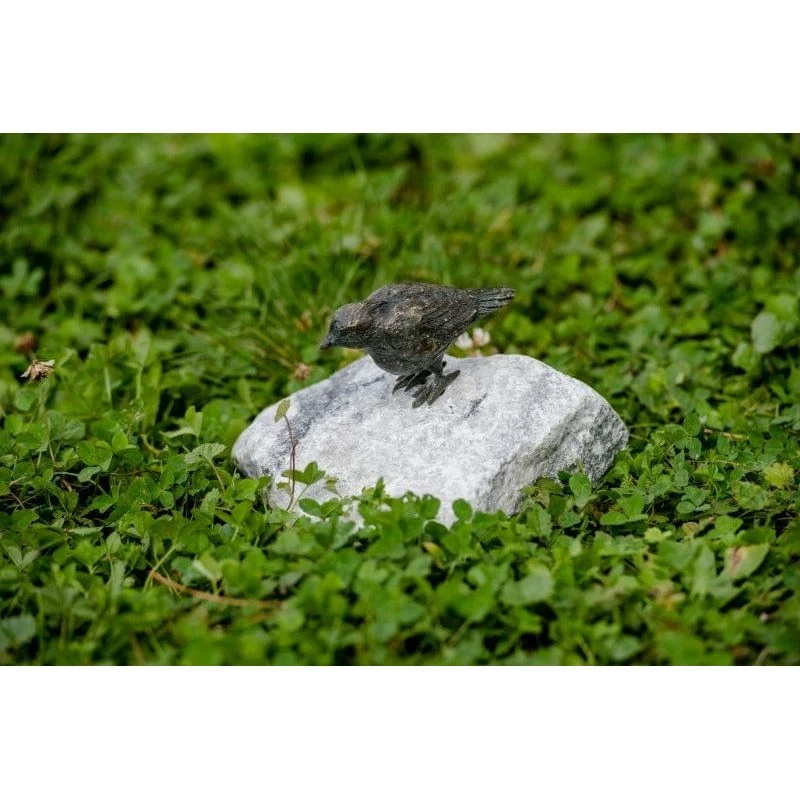 Vogel klein 990322.2 auf Alaska-Stein