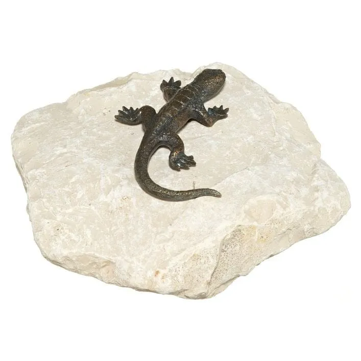 Bronze Eidechse auf Kalkstein