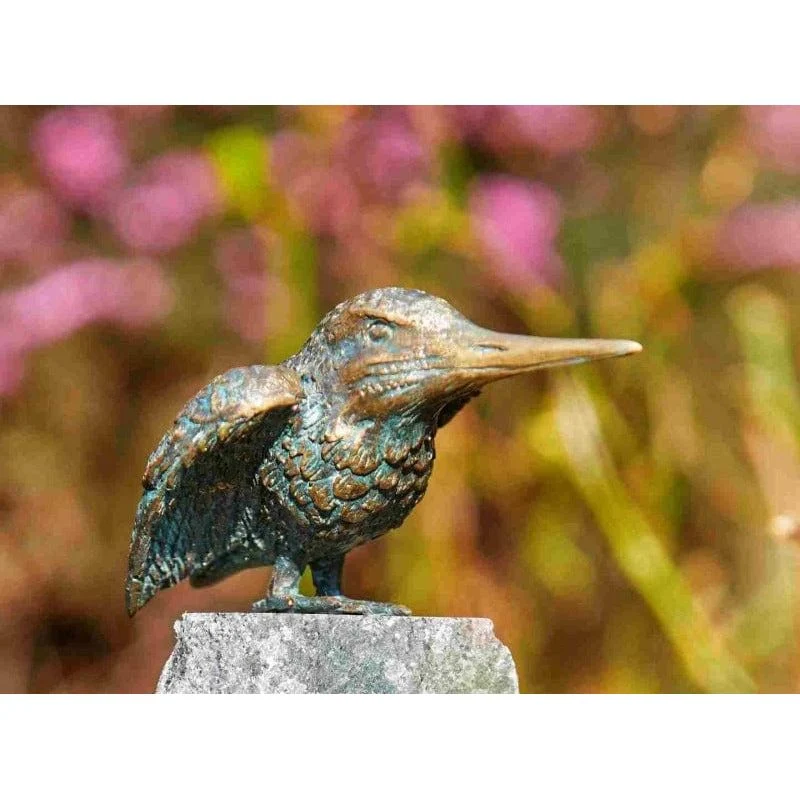 Eisvogel Flügel offen