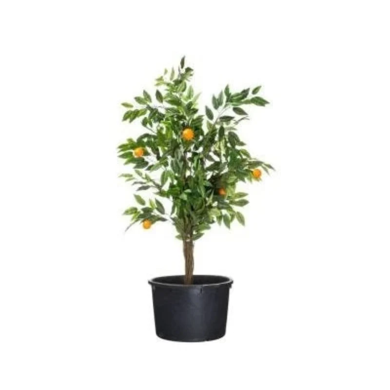 Cuvelle - Victoria 112 - JP container 275L - 35x110cm - Livraison Gratuite