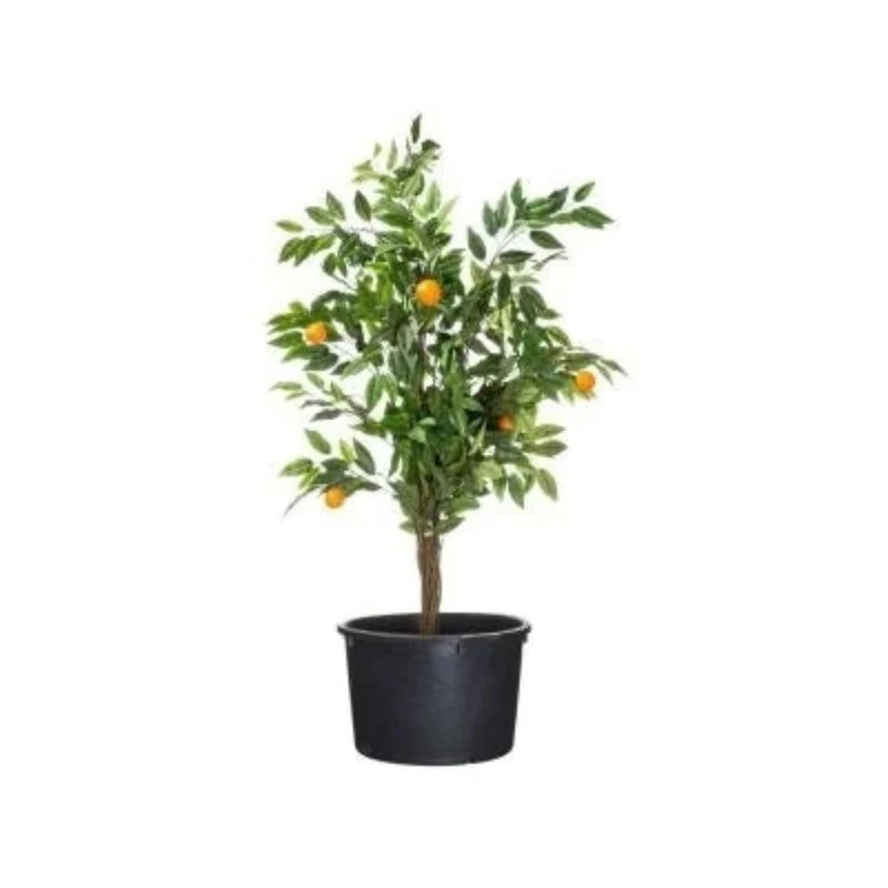 Victoria 90, JP container 150l 32x88cm