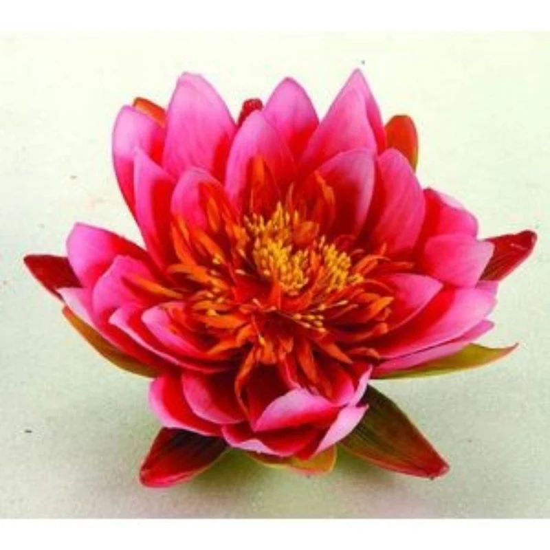 Nénuphar de décoration - coloris rose - Ø16 cm