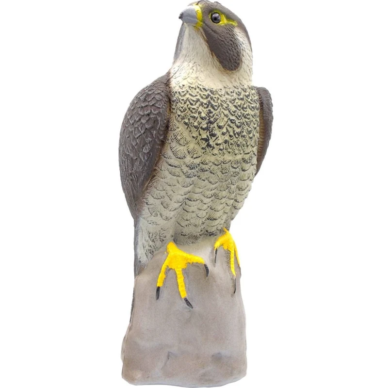Faucon - H40 cm